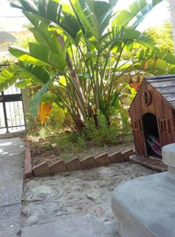 פונטנה ביאנקה Casa Roby 120 Mt Beach מראה חיצוני תמונה
